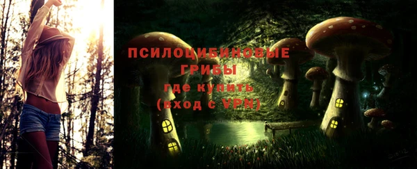 mdma Протвино