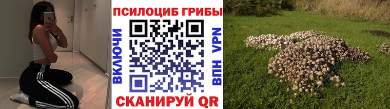 Галлюциногенные грибы MAGIC MUSHROOMS  Нижний Ломов 